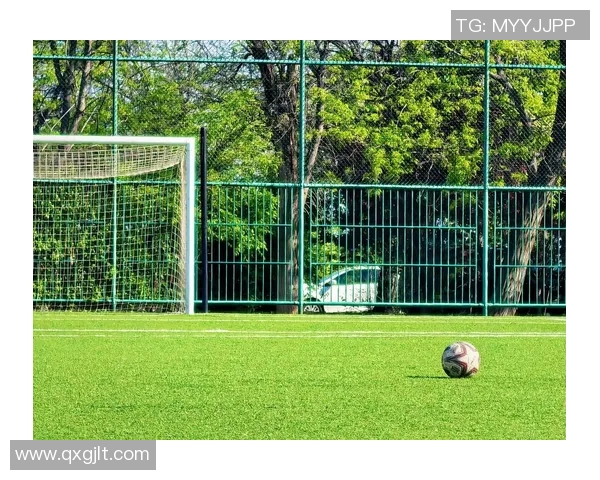 淮南足球明星盘点他们在绿茵场上的精彩表现与成就